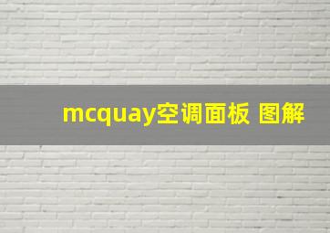 mcquay空调面板 图解